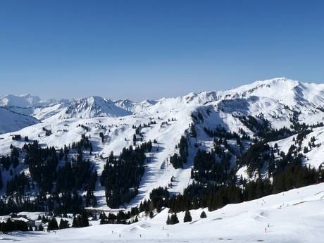 Meilenweiss: size of the ski resorts – Size Damüls Mellau
