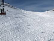 Off-piste areas at Col Rodella