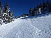 Tannwald Run