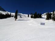 Dercum´s Gulch