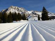 Perfectly groomed slope on the Ehrwalder Alm