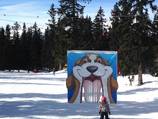 Petit St Bernard funarea 