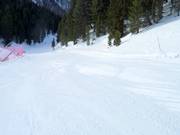 Perfect slope in Pampeago