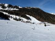 Easy slopes at the Alm-Express and at the conveyor belt