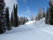 Easy Teton Vista Traverse