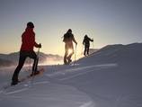 Snowshoe trails