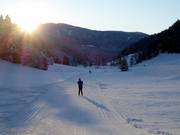 Weirerteich trail