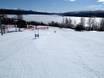 Family ski resorts Västerbotten – Families and children Tärnaby