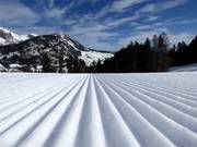 Perfect slope grooming in the Wildhaus ski area