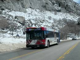 Snowbird