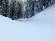 Valley run
