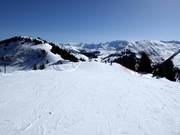 Easy slope Hühnerspiel-Lochstafel