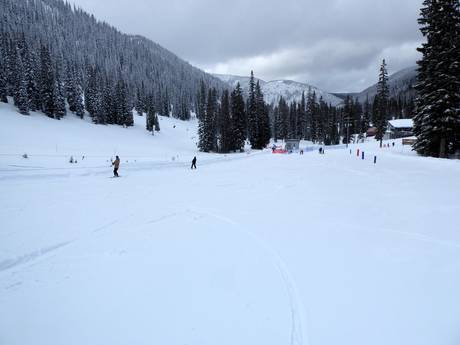 Family ski resorts Selkirk Mountains – Families and children Whitewater – Nelson