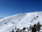 Freeride slopes Finsterbach
