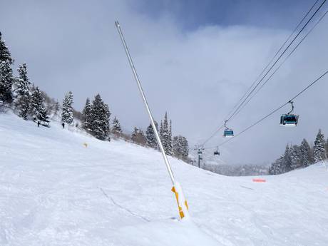 Snow reliability Utah – Snow reliability Snowbasin