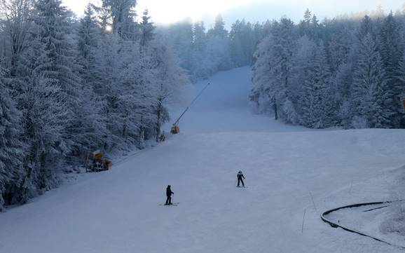 Ski resorts for beginners in the Nature Park Upper Bavarian Forest – Beginners Hohenbogen – Neukirchen bei Hl. Blut