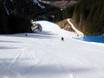 Ski resorts for advanced skiers and freeriding Rosengarten Group (Catinaccio) – Advanced skiers, freeriders Belvedere/Col Rodella/Ciampac/Buffaure – Canazei/Campitello/Alba/Pozza di Fassa