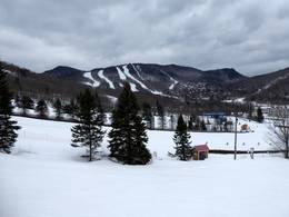 Stoneham