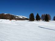 Practice slope Snow Island