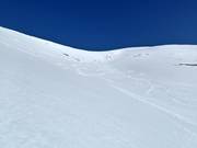 Untouched slopes await you when heliskiing