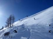 Powder slopes in the ski area