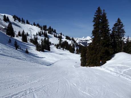 Slope offering Gstaad – Slope offering Rinderberg/Saanerslochgrat/Horneggli – Zweisimmen/Saanenmöser/Schönried/St. Stephan