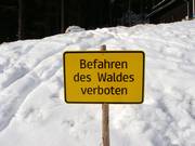 Entering the forest is prohibited