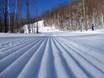 Slope preparation Quebec – Slope preparation Bromont