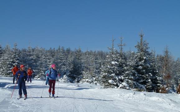 Cross-country skiing Rastatt – Cross-country skiing Kaltenbronn