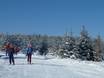 Cross-country skiing Black Forest (Schwarzwald) – Cross-country skiing Kaltenbronn