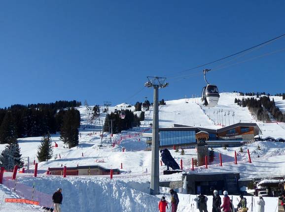Chenus