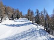 Fäuder slope