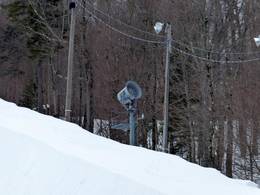 Stoneham