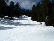 Cabin Trail descent