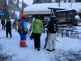 Snowbird