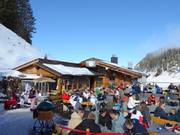 Ski cradle in Westendorf