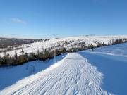 View over Hundfjället with Tandådalen in the background