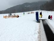 Hirschzwergland