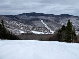 Stoneham