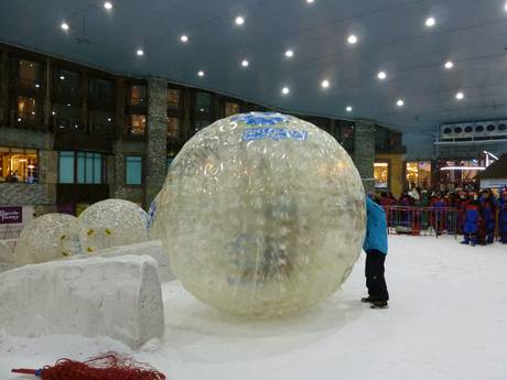 Family ski resorts West Asia – Families and children Ski Dubai – Mall of the Emirates