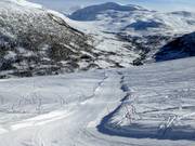 Myrkdalscrossen