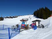 Kjusheisen (D) - T-bar
