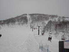 Photos Mitsumata/Kagura/Tashiro (Mt. Naeba)