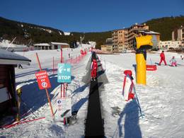 Castor