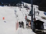 Ecureuil - J-bar