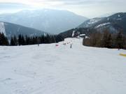 Sunny Slope