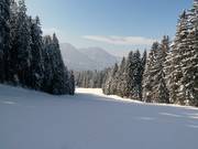 Valley run FIS