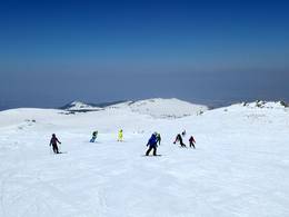 Vitosha/Aleko – Sofia