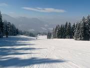 FIS downhill