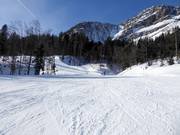 Sandlingalm slope
